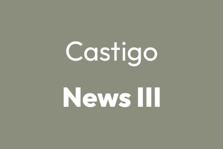 Castigonews III - el regreso