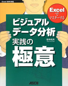 Excelでマスターするビジュアルデータ分析 実践の極意 Excel 2010対応