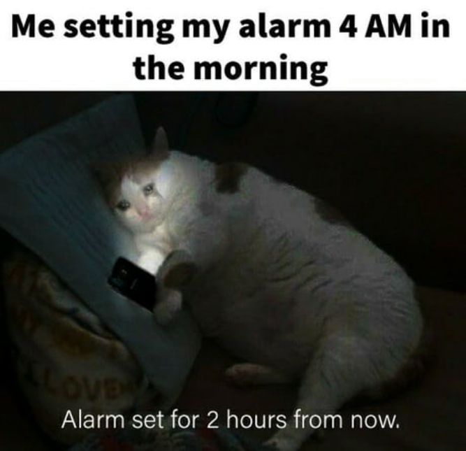 Me setting my alarm for 4 am in the morning! - Funny Good Morning Memes pictures, photos, images, pics, captions, jokes, quotes, wishes, quotes, SMS, status, messages, wallpapers