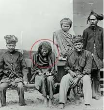 Wow..!! Tjoet Nyak, "The Queen of Aceh Battle", Wanita Perkasa, Pahlawan Yang Sebenarnya dari Suatu Realita Jamannya, Please Share..!!!