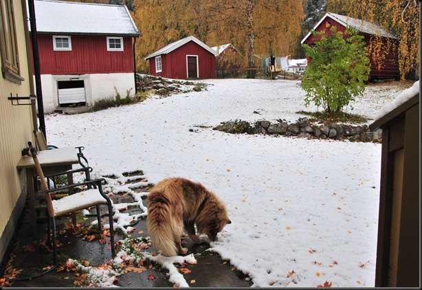 lørdag 005