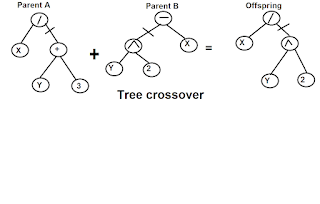Mutation in hindi - data mining and warehouse