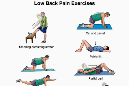 Lower Back Pain: Symptoms, Stretches, Exercise for Pain Relief