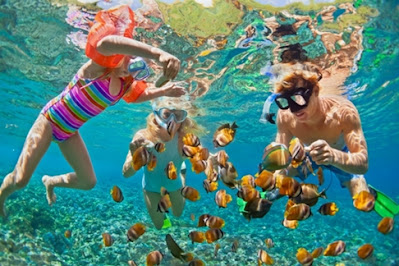 tips snorkeling untuk pemula yang tidak bisa berenang