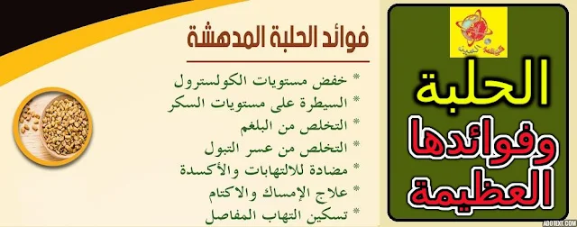 "فوائد الحلبة للنساء للتسمين" "فوائد الحلبة للنساء لتكبير المؤخرة" "فوائد الحلبة للنساء للرجال" "فوائد الحلبة للنساء الحوامل" "فوائد الحلبة للنساء للحمل" "فوائد الحلبة للنساء لزيادة الوزن" "فوائد الحلبة للمرأة المتزوجة" "فوائد الحلبة للبنات قبل الزواج"