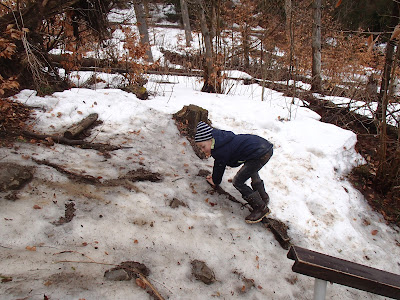 Szczawnica, szlaki turystyczne w Szczawnicy, schronisko pod Durbaszką, rezerwat Wysokie Skałki, Bukowinki, wąwóz Homole, grzyby wiosenne