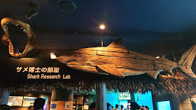 沖縄 美ら海水族館