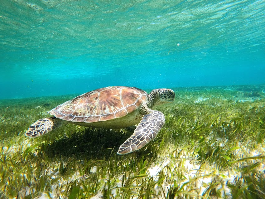 Gili Air, el paraíso en Indonesia