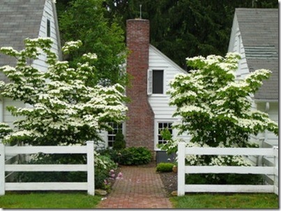fence landscaping