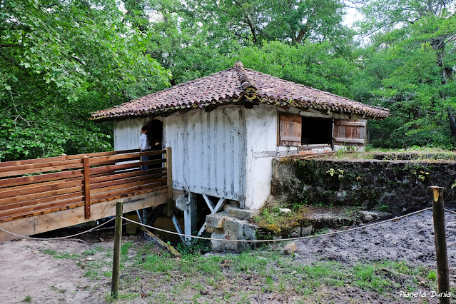 Ecomusée de Marquèze