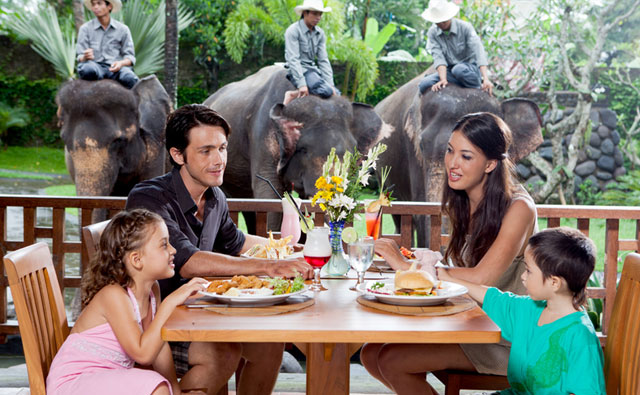 Bali Zoo Park Holiday Tips - Bali, Holidays, Tours, Tips, Attractions, Zoo Park