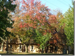 PA070001