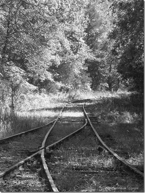 TrainTracks