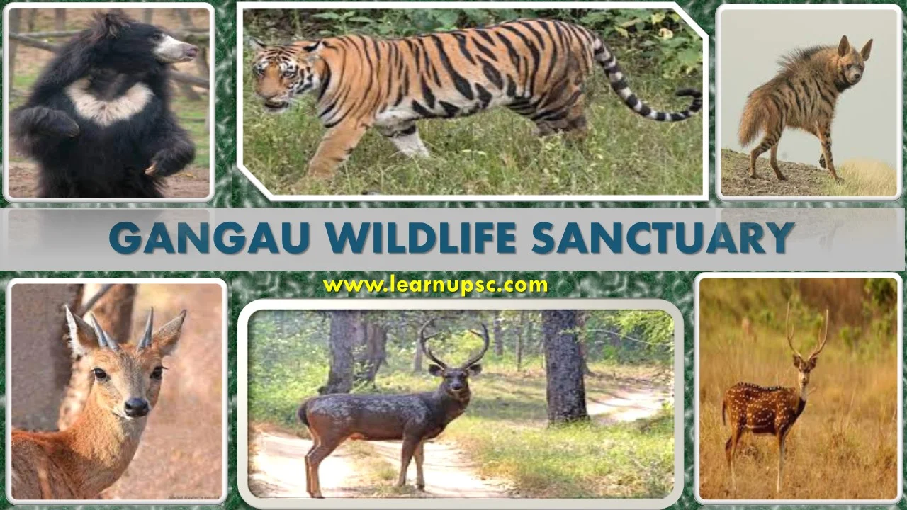 Gangau Wildlife Sanctuary