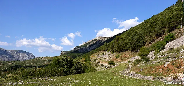 Ventisqueros - Sierra Sur de Jaén