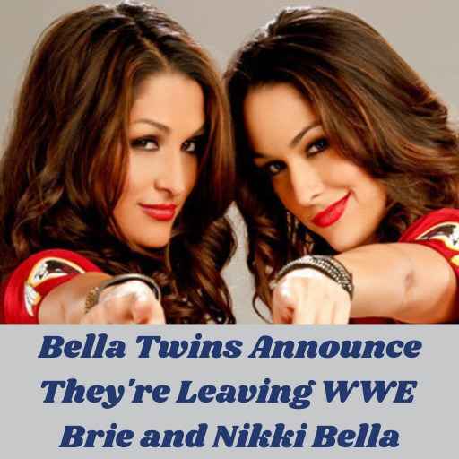 Brie and Nikki Bella