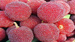 yangmei fruit images wallpaper