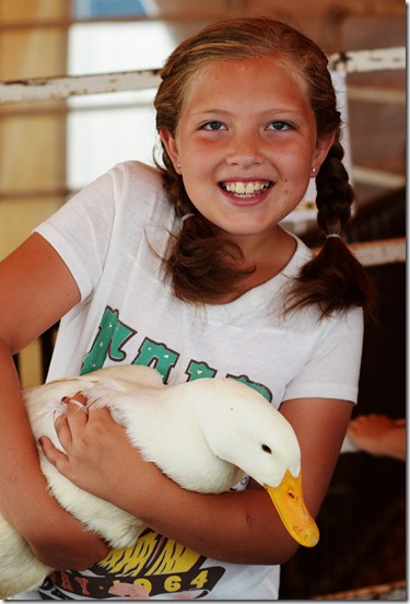 Fair3