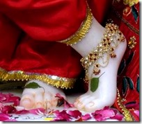 [Krishna's lotus feet]