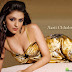 Aarti Chhabria Hot HD Wallpapers