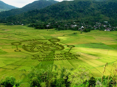 funny crop circle patterns art design