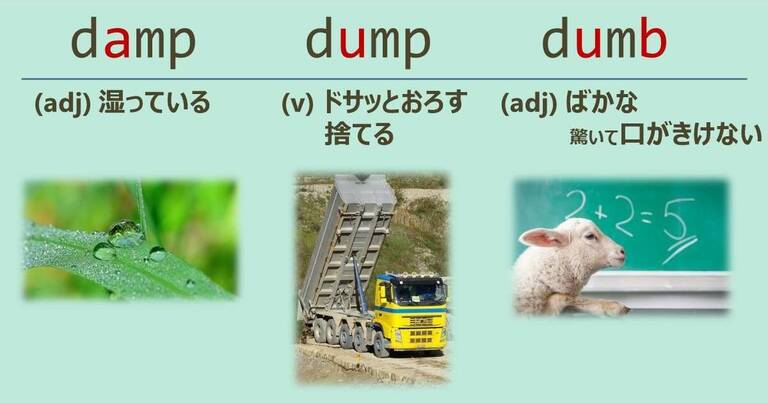 damp, dump, dumb, スペルが似ている英単語