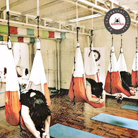 peru-certificacion-aeroyoga-aero-pilates-yoga-aereo-aerea-aerial-fly-flying-lima-latino-america-brasil-andes-wellness-bienestar-salud-rafael-martinez-cursos-clases-profesores-formacion-profesional-columpio-swing-teacher-training-trujillo-colombia