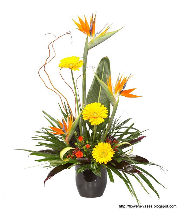 Flowers vases:vases-13505