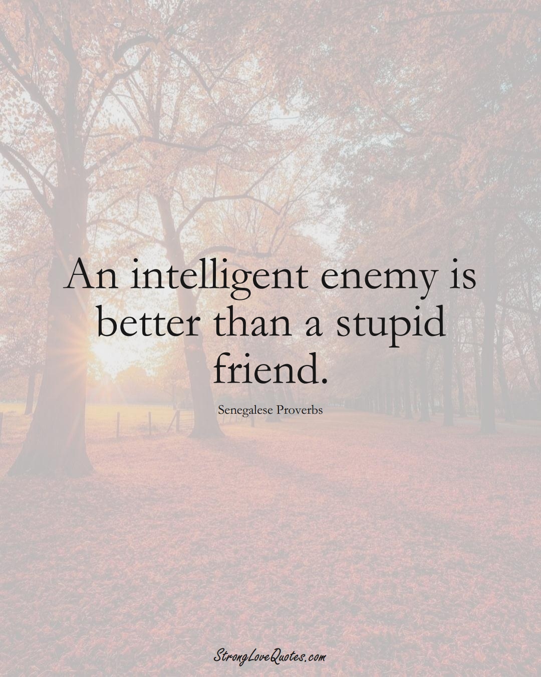 An intelligent enemy is better than a stupid friend. (Senegalese Sayings);  #AfricanSayings