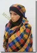pashmina cantik pashmina cantik