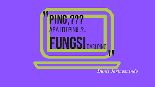 duniajaringanindo - Apa itu PING ?