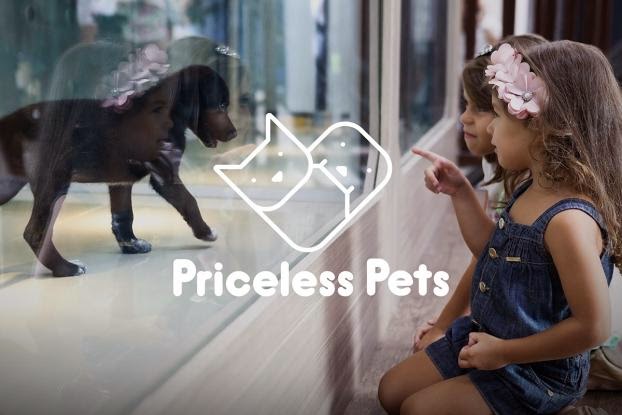 Asociación Quatro Patinhas, Animales valiosos, Priceless Pets