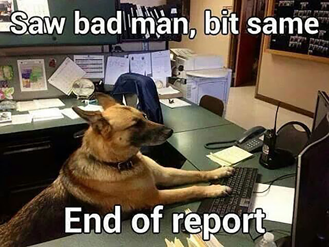 A German Shepherd places its paws on a computer keyboard in a police station office. The meme reads, "Saw bad man, bit same. End of Report."