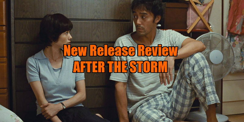 after the storm review