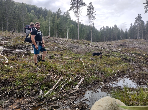 brøgåsen rundt sokna