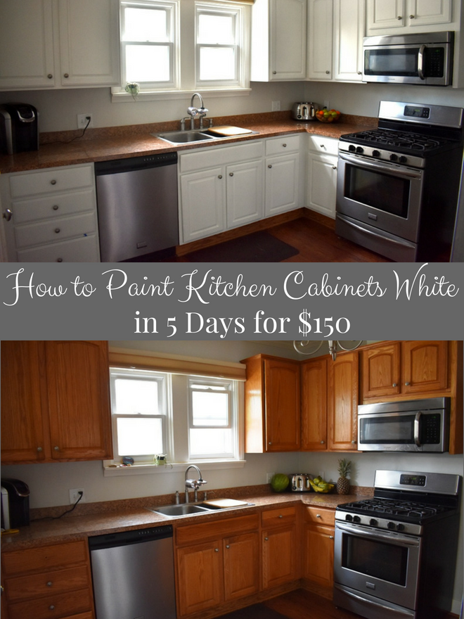 How to Paint Kitchen Cabinets White in 5 Days for $150 | The Nutritionist Reviews
