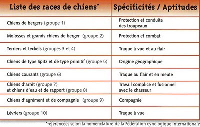 Tableau Race De Chien Avec Photo