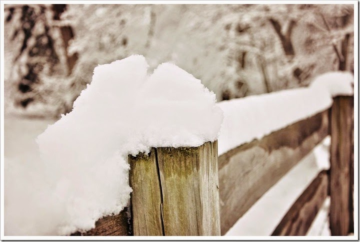snow topped fenceVW