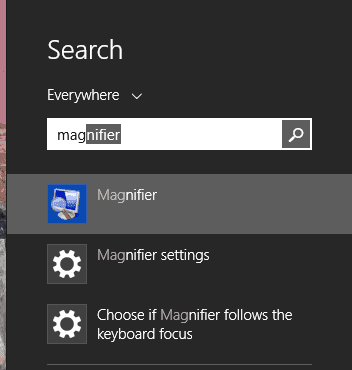 Search Magnifier