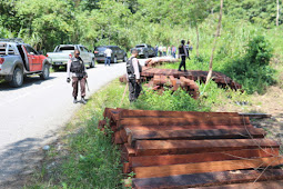 Dishut Papua Hitung Kerugian Negara Akibat Ilegal Logging