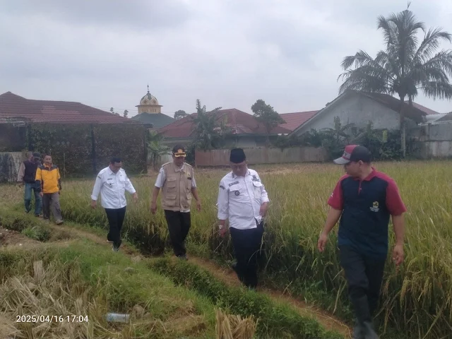 Camat Belik Monitoring Saluran Irigasi di Desa Gunung Tiga Bersama Kades, Kepala UPJI, dan PPL