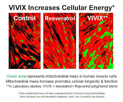 Anti cancer; Anti aging; Vivix Shaklee; Shaklee Penang; Shaklee Malaysia; The best natural tonic