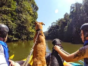 Pets 21 (75_1) (26)