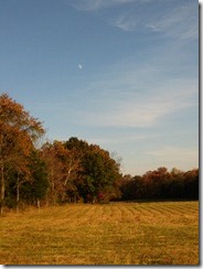 IMG_5772