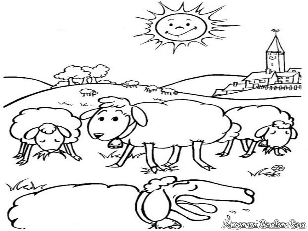 catatanku anak desa Gambar  Domba Untuk Mewarnai 