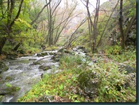 DSCN4100