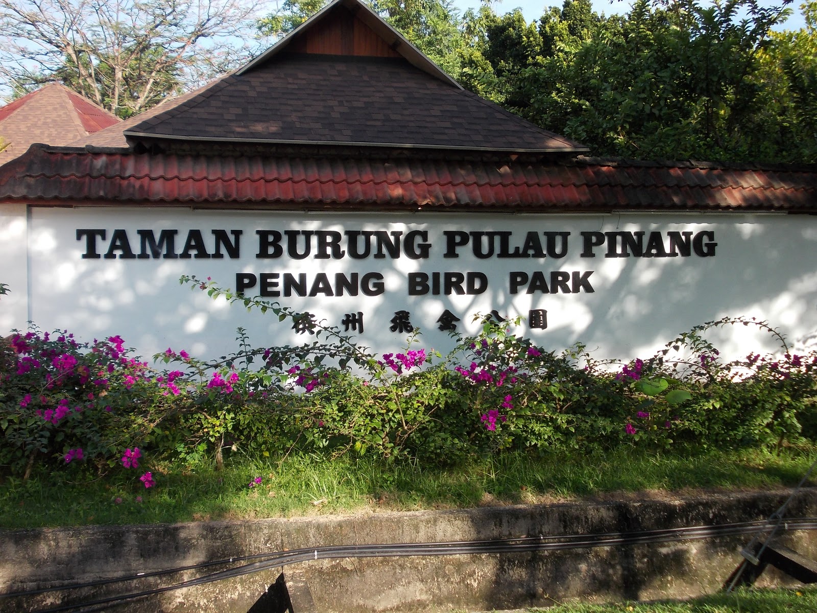 TEMPAT MENARIK DI PULAU PINANG YANG WAJIB DI LAWATI  KETIKA CUTI SEKOLAH