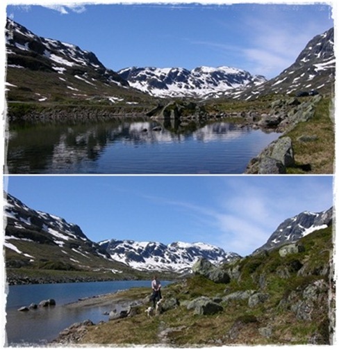 20 norge