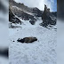 Avalanche in Rocky Mountain National Park, one killed and two injured 