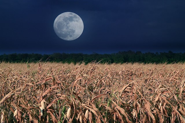 Full Corn Moon or Harvest Moon - Scientific knowledge